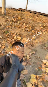 myyngkkme1v.jpg