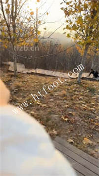 bxx4yzroavn.jpg