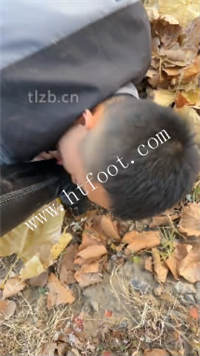 zka1yhvxsk1.jpg