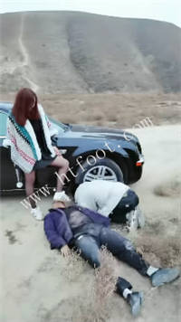 wp00gws2sfc.jpg