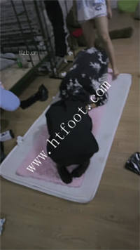 j3tuday12gs.jpg