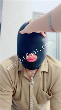 ylot0wigsto.jpg