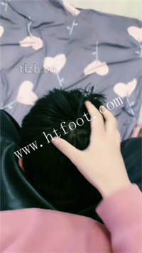 zk5jx1aqbee.jpg