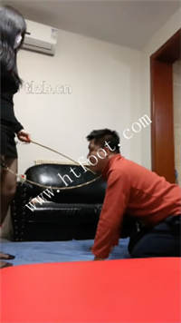 tx45pqttean.jpg