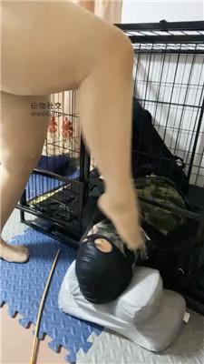 eccbkgw3exs.jpg