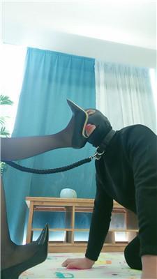 v2do1i0oo5v.jpg