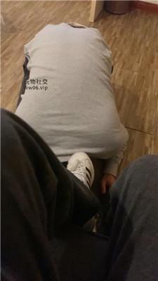 1ystzsw3s15.jpg