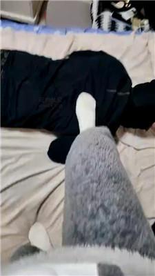 uucqn5vpewb.jpg