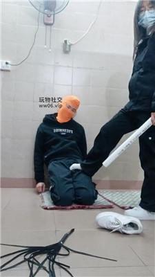 czsyw25lec3.jpg