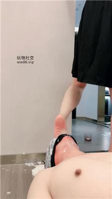 ncn55hzn2cc.jpg