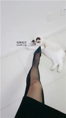 wwccjcohrvn.jpg