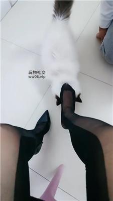 ysd4oj4j2th.jpg