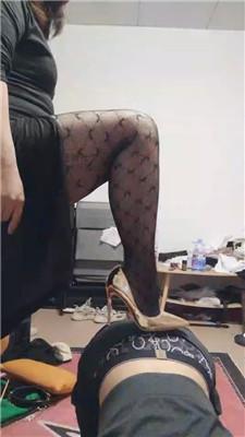 wjh5d13r5mu.jpg