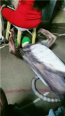 h0qppxrcwat.jpg