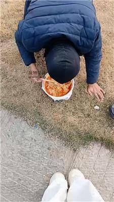 4uqdfolfbpc.jpg