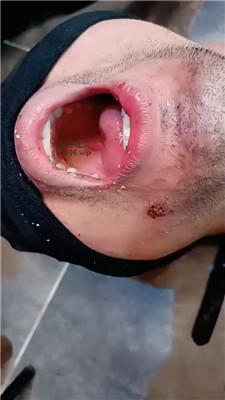 1aifzxl4g51.jpg