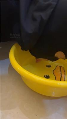 zqxcwqwnisf.jpg