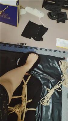 ajxeyku31oz.jpg