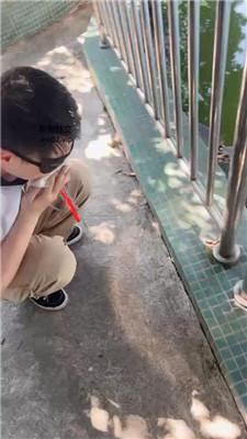 cjklg3v2uc1.jpg