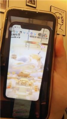 d5g13xzg310.jpg