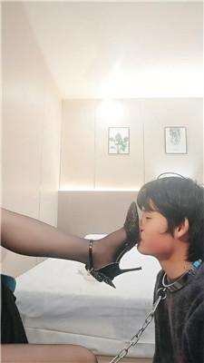 ymh02c1hapv.jpg