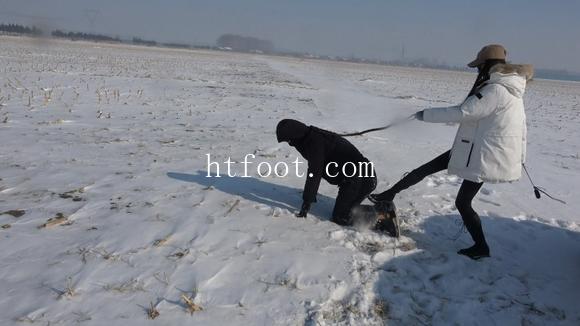 154636wwwbrhy2nybnrixn.jpg