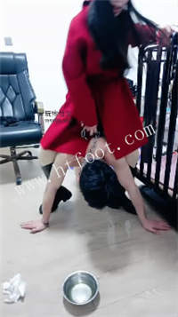 012233v3qdd3g7hz3ge615.jpg