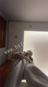 013452rgch0xx3k55f7ffc.jpg