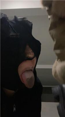 bypyhkawuhs.jpg