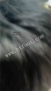 014032nmp15z5cwt6pp6lz.jpg