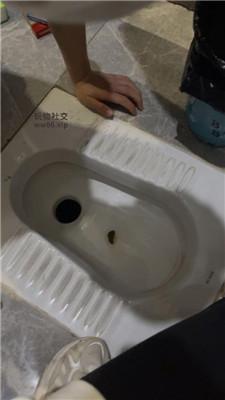 jyko2xztp1j.jpg