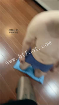 221824xge16ebpiu164rbo.jpg