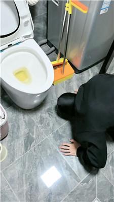 5onwhf0tea5.jpg
