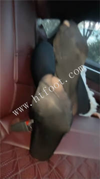 010309aqpa5ptiuz0ekht0.jpg