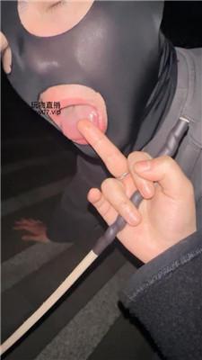 seikcncttnq.jpg