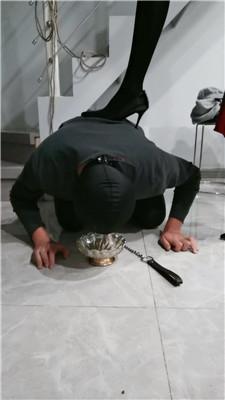 wojv5gbsuka.jpg