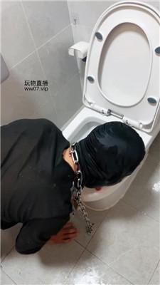 ugkpcql01mf.jpg