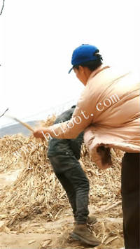 025223kuo4g1rgzr1ilh4g.jpg