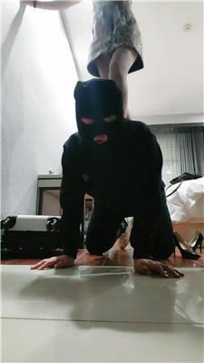 gomlq3qagtv.jpg