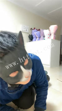 035203tpxieylyggxyirey.jpg