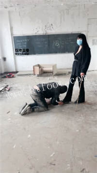 033553sp7grojv3zox33dr.jpg