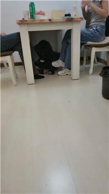 2pg0t2yece3.jpg