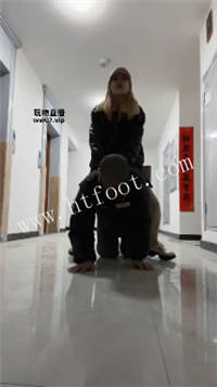 010451fkwe88p8fkpe88cg.jpg