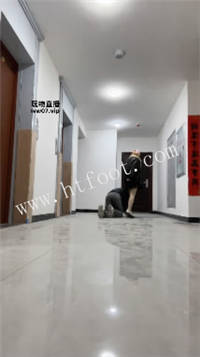 010449ya24a2qolg723lhp.jpg