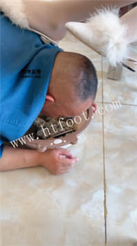 045920hjhfl18w6ed1hf76.jpg