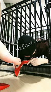 051000xprl33vjl33wvuru.jpg