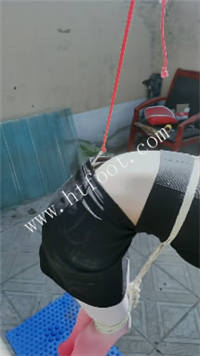 010206jaazkma7d0ab8aam.jpg