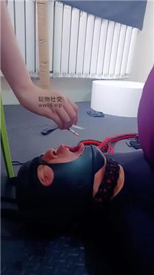 m2myxdxqmo2.jpg