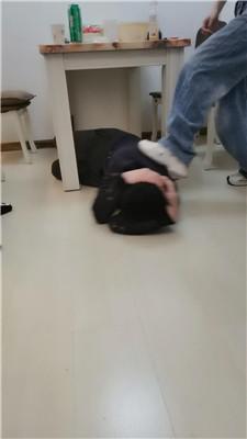 4naggiktj5m.jpg