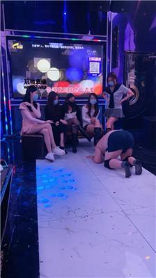cwd1c3fqplv.jpg